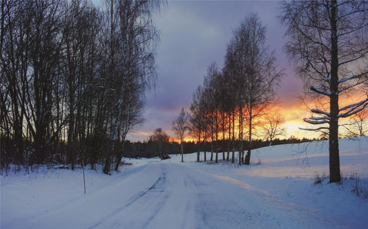 Quiet winter landscape at dusk with snow-covered road and bare trees, reflecting calm winter evenings at home