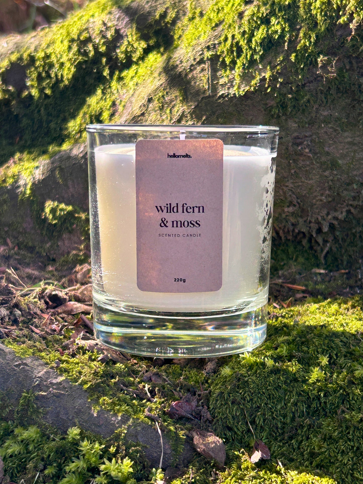 Wild Fern & Moss scented candle by Hellomelts, shown in an outdoor spring setting with natural greenery, highlighting the fresh, earthy character of this Spring Collection fragrance